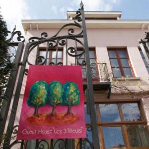 Guest House Les 3 Tilleuls