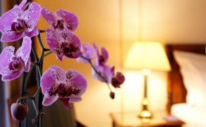 Hotel Le Plaza Brussels - image 11