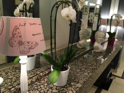 First Euroflat Hotel - image 3