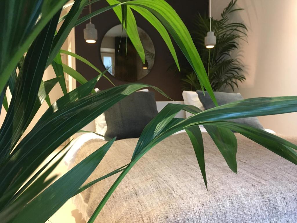 Le Berger Hotel - image 3
