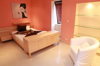 Residence la Fraisiere - image 10