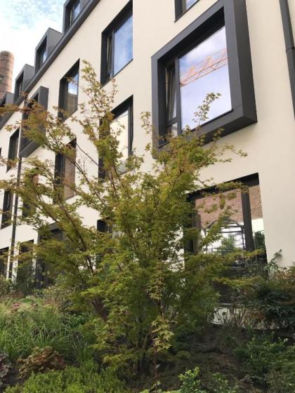 Jardin Secret - image 6