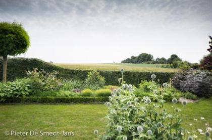 Barbara's Bed & Breakfast - image 5