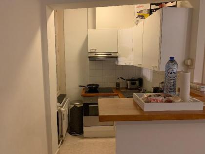 Brussels City Apartment - image 10
