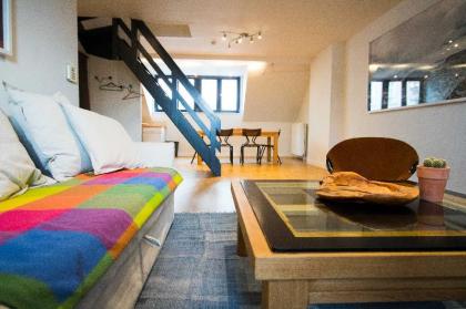 Unit 8 - Charming Loft Apt. near Avenue Louise - image 20