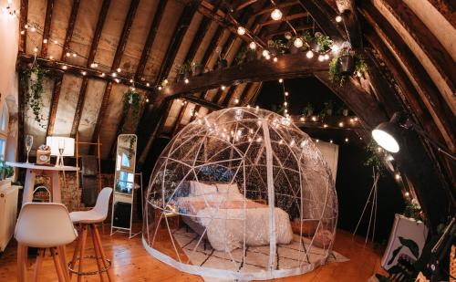 Cocoon Brussels - main image